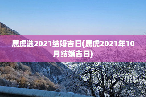 属虎选2021结婚吉日(属虎2021年10月结婚吉日)第1张-八字查询