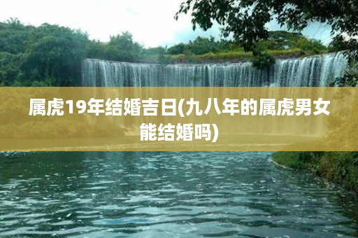 属虎19年结婚吉日(九八年的属虎男女能结婚吗)第1张-八字查询