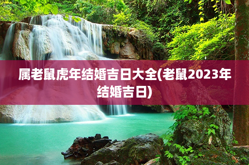 属老鼠虎年结婚吉日大全(老鼠2023年结婚吉日)第1张-八字查询