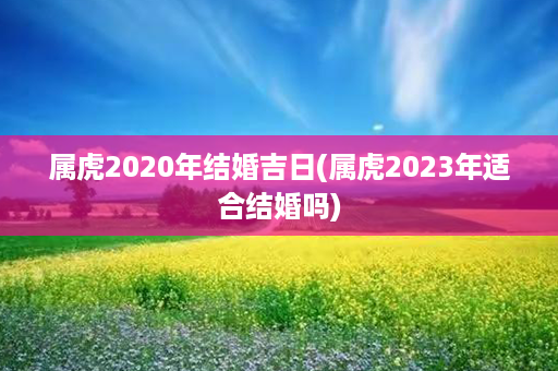 属虎2020年结婚吉日(属虎2023年适合结婚吗)第1张-八字查询