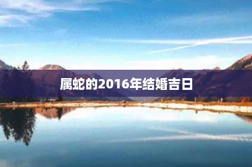 属蛇的2016年结婚吉日第1张-八字查询