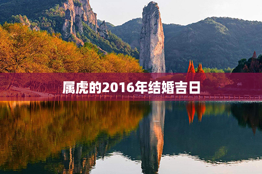 属虎的2016年结婚吉日第1张-八字查询