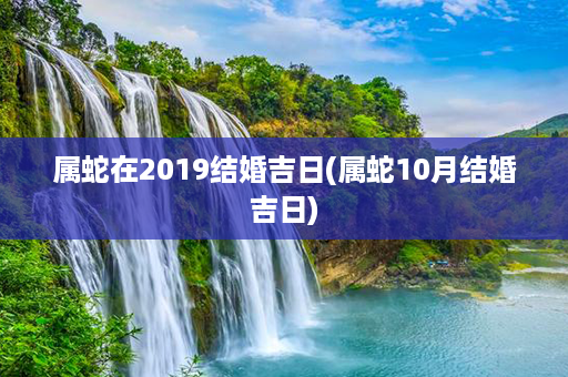 属蛇在2019结婚吉日(属蛇10月结婚吉日)第1张-八字查询