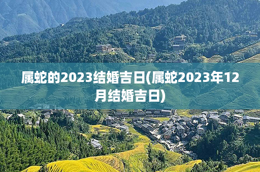 属蛇的2023结婚吉日(属蛇2023年12月结婚吉日)第1张-八字查询