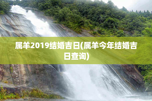 属羊2019结婚吉日(属羊今年结婚吉日查询)第1张-八字查询