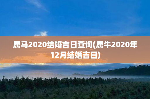 属马2020结婚吉日查询(属牛2020年12月结婚吉日)第1张-八字查询