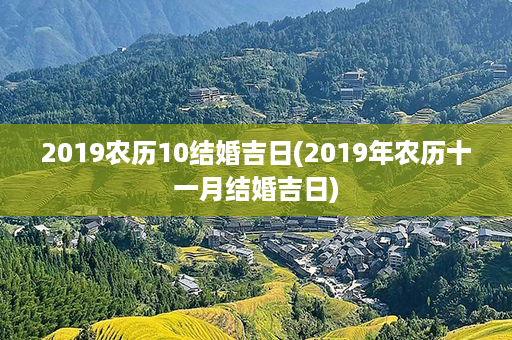 2019农历10结婚吉日(2019年农历十一月结婚吉日)第1张-八字查询