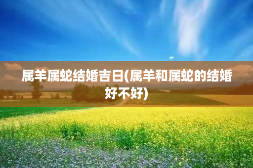 属羊属蛇结婚吉日(属羊和属蛇的结婚好不好)第1张-八字查询