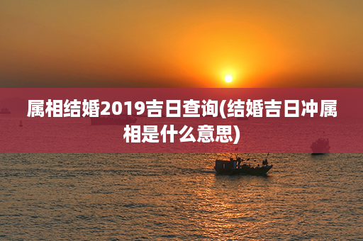 属相结婚2019吉日查询(结婚吉日冲属相是什么意思)第1张-八字查询