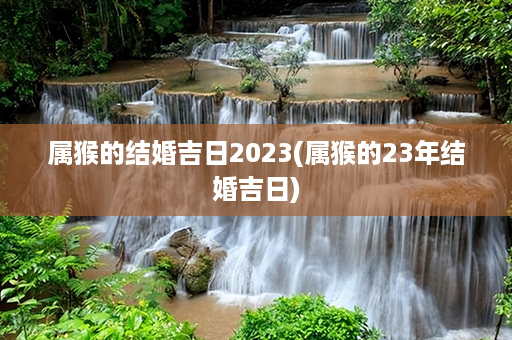 属猴的结婚吉日2023(属猴的23年结婚吉日)第1张-八字查询