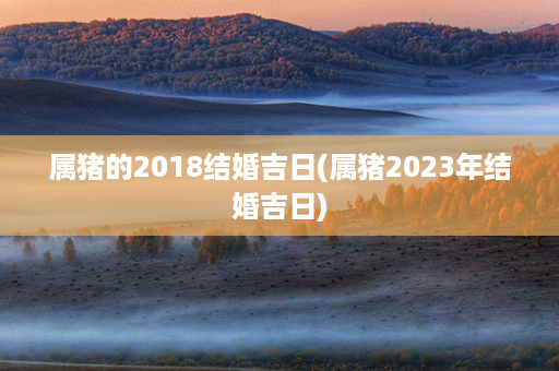 属猪的2018结婚吉日(属猪2023年结婚吉日)第1张-八字查询