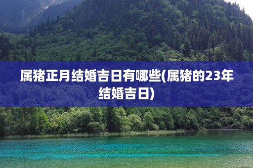 属猪正月结婚吉日有哪些(属猪的23年结婚吉日)第1张-八字查询