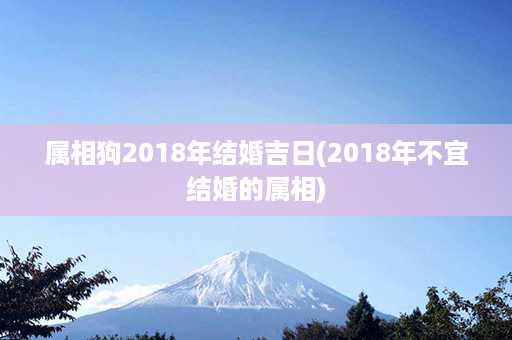 属相狗2018年结婚吉日(2018年不宜结婚的属相)第1张-八字查询