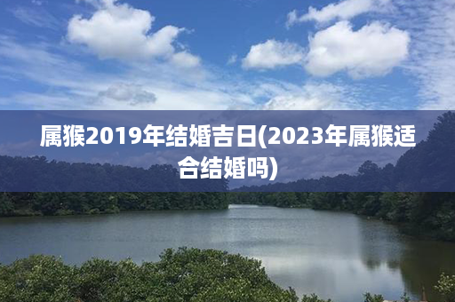 属猴2019年结婚吉日(2023年属猴适合结婚吗)第1张-八字查询