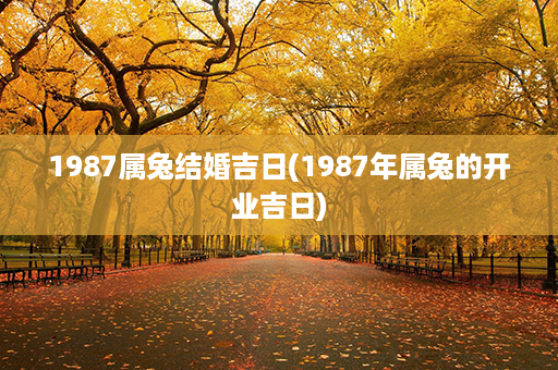 1987属兔结婚吉日(1987年属兔的开业吉日)第1张-八字查询