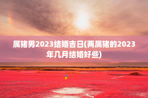 属猪男2023结婚吉日(两属猪的2023年几月结婚好些)第1张-八字查询