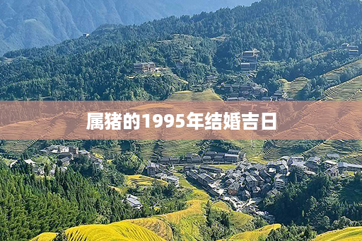 属猪的1995年结婚吉日第1张-八字查询