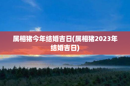 属相猪今年结婚吉日(属相猪2023年结婚吉日)第1张-八字查询