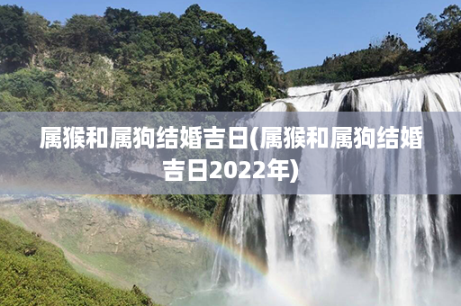 属猴和属狗结婚吉日(属猴和属狗结婚吉日2022年)第1张-八字查询