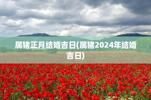 属猪正月结婚吉日(属猪2024年结婚吉日)第1张-八字查询