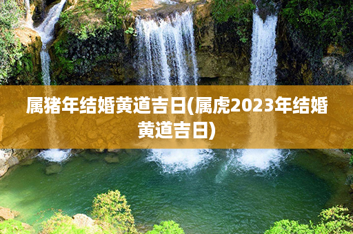 属猪年结婚黄道吉日(属虎2023年结婚黄道吉日)第1张-八字查询