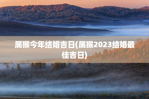 属猴今年结婚吉日(属猴2023结婚最佳吉日)第1张-八字查询