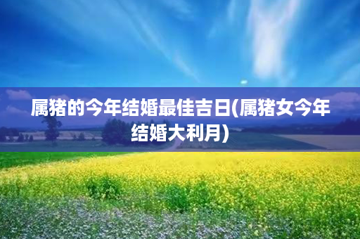 属猪的今年结婚最佳吉日(属猪女今年结婚大利月)第1张-八字查询