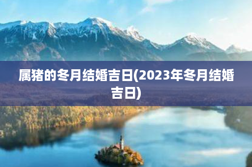 属猪的冬月结婚吉日(2023年冬月结婚吉日)第1张-八字查询