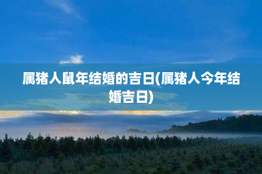 属猪人鼠年结婚的吉日(属猪人今年结婚吉日)第1张-八字查询