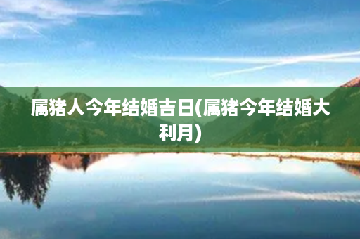 属猪人今年结婚吉日(属猪今年结婚大利月)第1张-八字查询