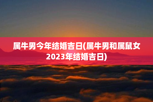 属牛男今年结婚吉日(属牛男和属鼠女2023年结婚吉日)第1张-八字查询