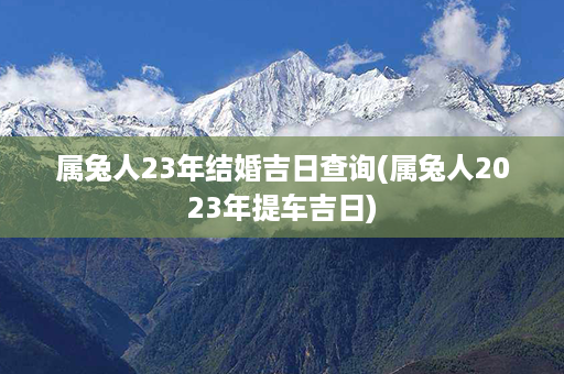 属兔人23年结婚吉日查询(属兔人2023年提车吉日)第1张-八字查询