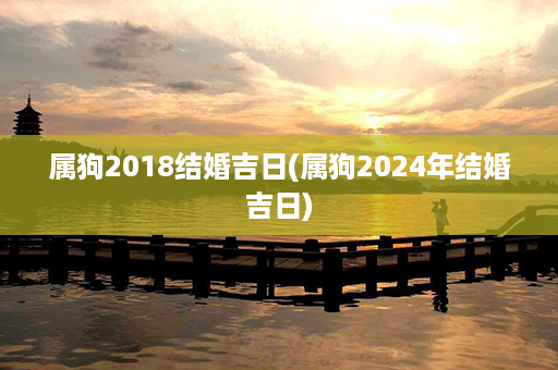 属狗2018结婚吉日(属狗2024年结婚吉日)第1张-八字查询