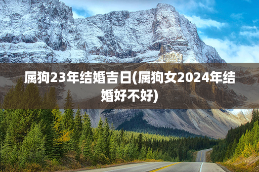 属狗23年结婚吉日(属狗女2024年结婚好不好)第1张-八字查询