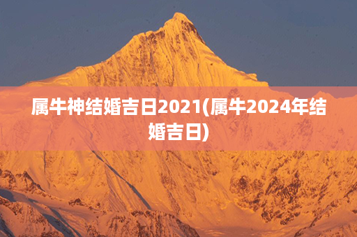 属牛神结婚吉日2021(属牛2024年结婚吉日)第1张-八字查询