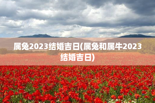 属兔2023结婚吉日(属兔和属牛2023结婚吉日)第1张-八字查询