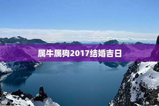 属牛属狗2017结婚吉日第1张-八字查询