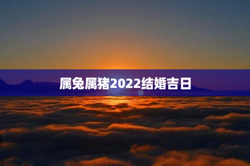 属兔属猪2022结婚吉日第1张-八字查询