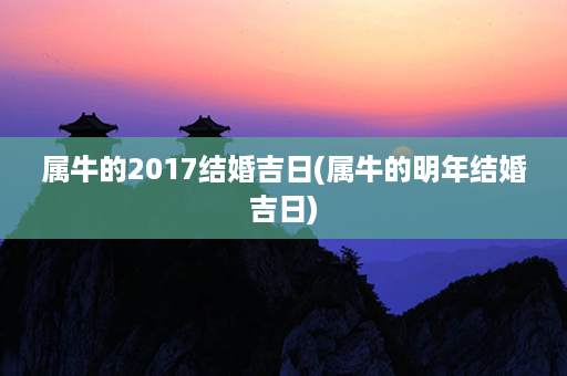 属牛的2017结婚吉日(属牛的明年结婚吉日)第1张-八字查询