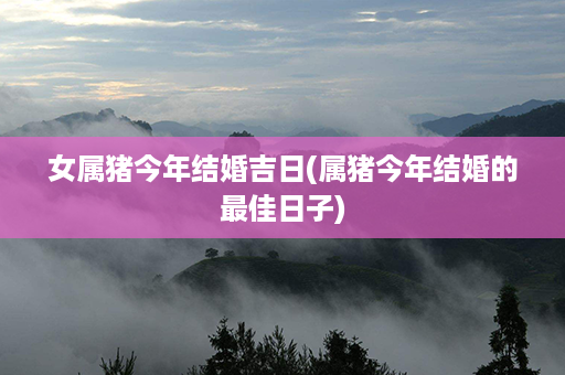 女属猪今年结婚吉日(属猪今年结婚的最佳日子)第1张-八字查询