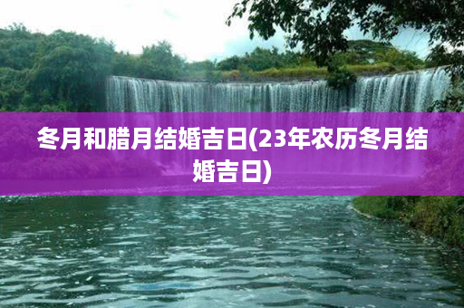 冬月和腊月结婚吉日(23年农历冬月结婚吉日)第1张-八字查询