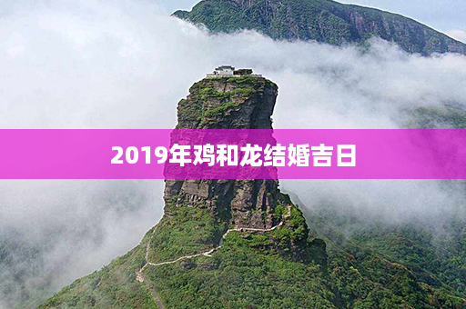 2019年鸡和龙结婚吉日第1张-八字查询