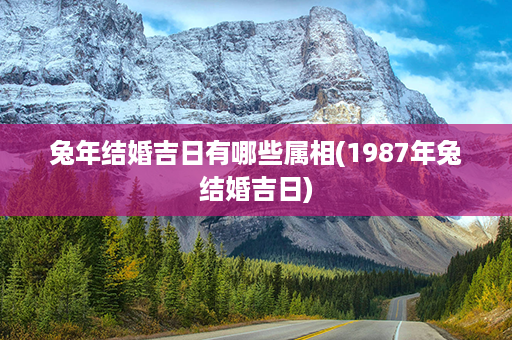 兔年结婚吉日有哪些属相(1987年兔结婚吉日)第1张-八字查询