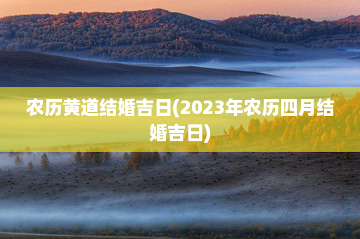 农历黄道结婚吉日(2023年农历四月结婚吉日)第1张-八字查询