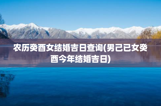 农历癸酉女结婚吉日查询(男己已女癸酉今年结婚吉日)第1张-八字查询