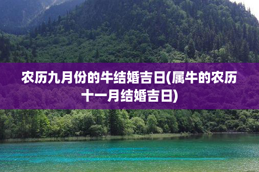 农历九月份的牛结婚吉日(属牛的农历十一月结婚吉日)第1张-八字查询