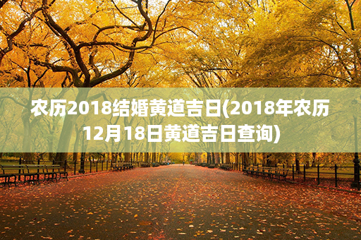 农历2018结婚黄道吉日(2018年农历12月18日黄道吉日查询)第1张-八字查询