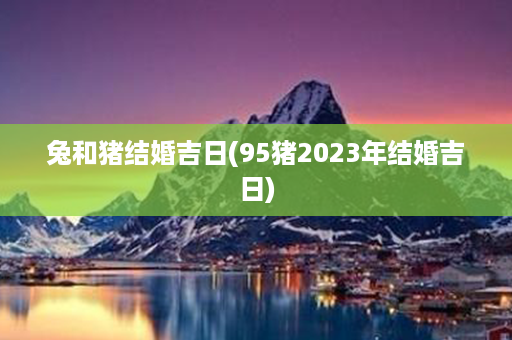 兔和猪结婚吉日(95猪2023年结婚吉日)第1张-八字查询