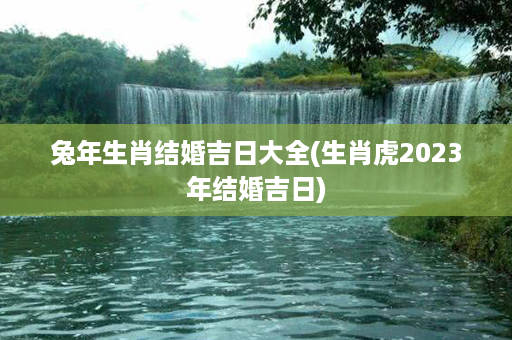 兔年生肖结婚吉日大全(生肖虎2023年结婚吉日)第1张-八字查询