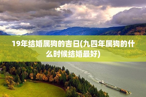 19年结婚属狗的吉日(九四年属狗的什么时候结婚最好)第1张-八字查询